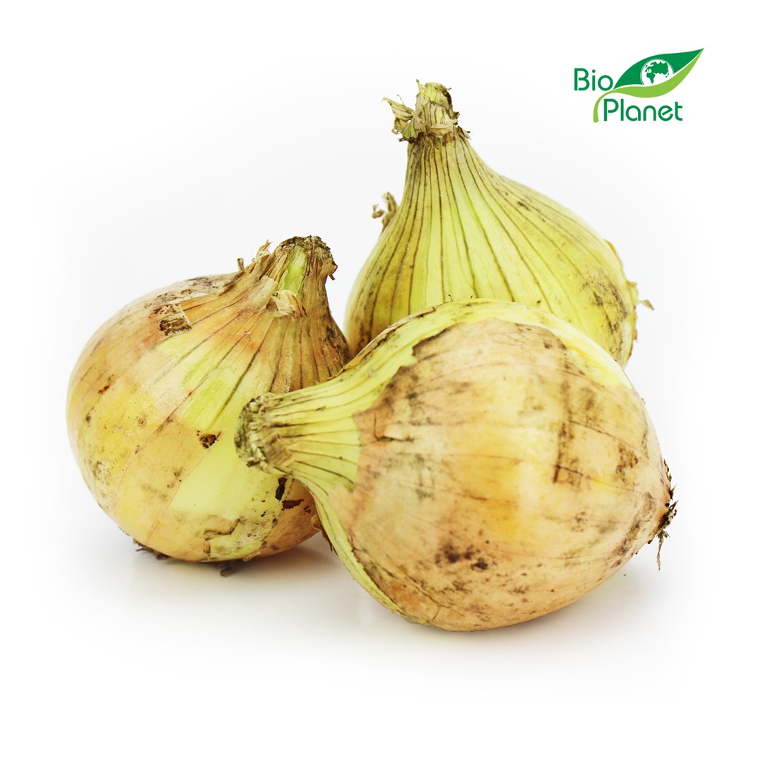 Cebula Żółta Młoda Świeża Bio (Polska) (Około 1,00 Kg)