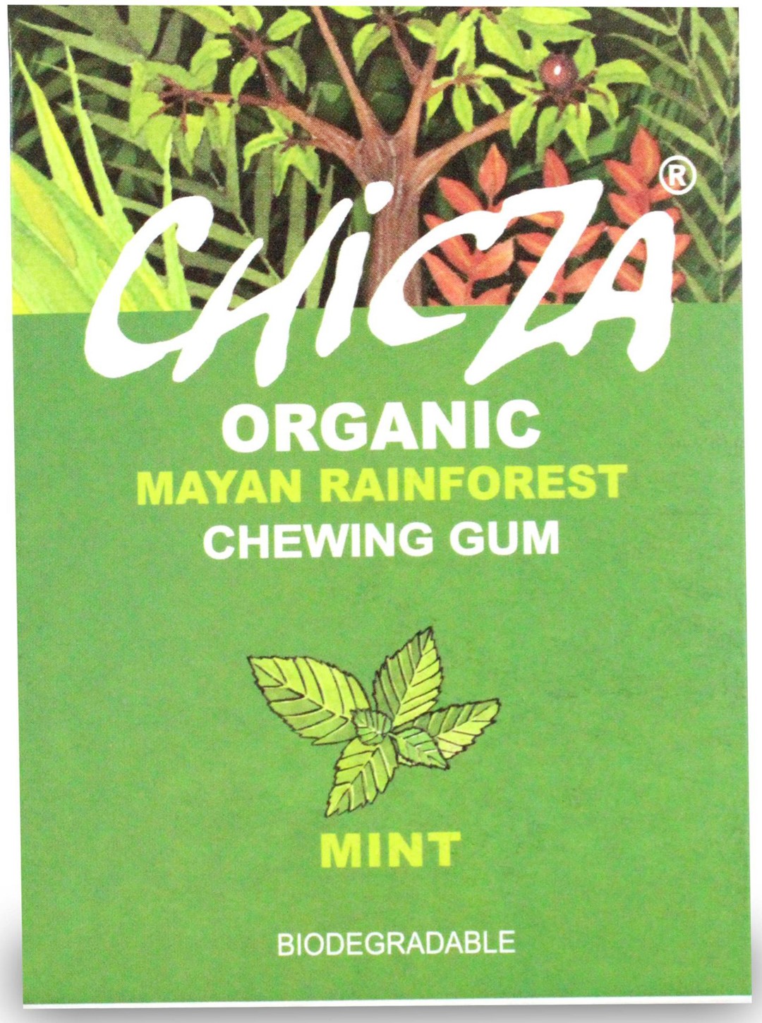 Guma Do Żucia O Smaku Mięty (Biodegradowalna) Bio 30 G - Chicza