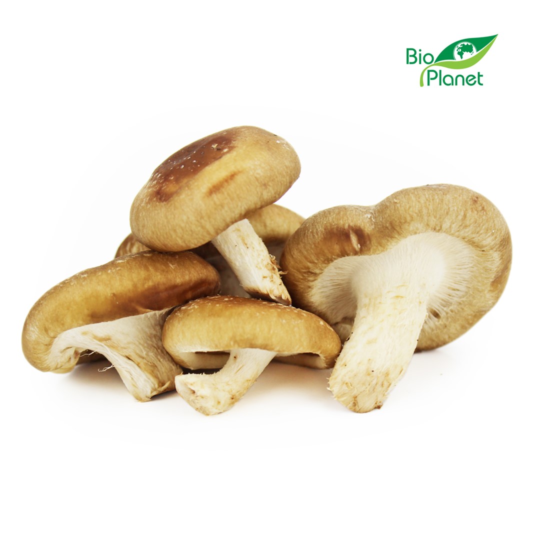 Grzyby Shiitake Świeże Bio (Polska) (Około 0,20 Kg)